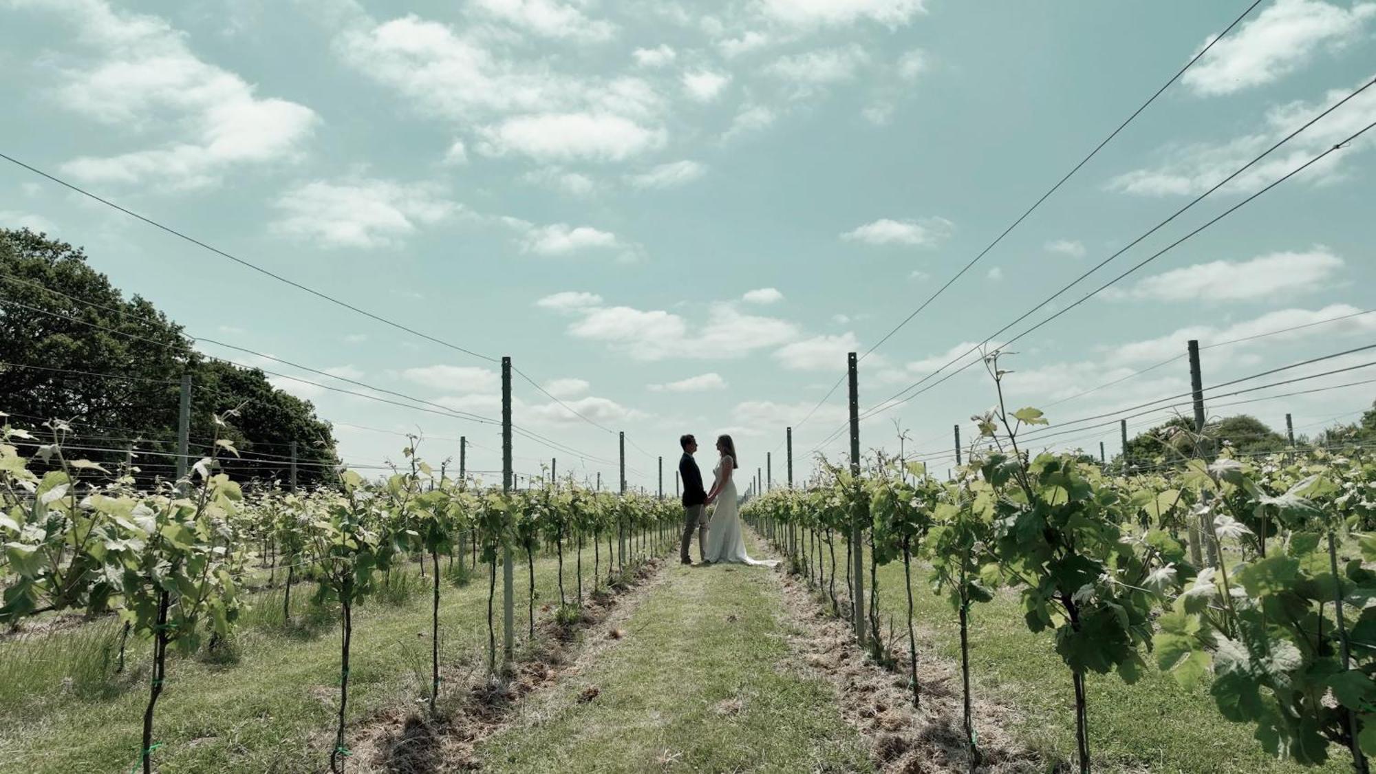 Pinkmead Estate And Vineyard Osborne (Isle of Wight) Exterior foto